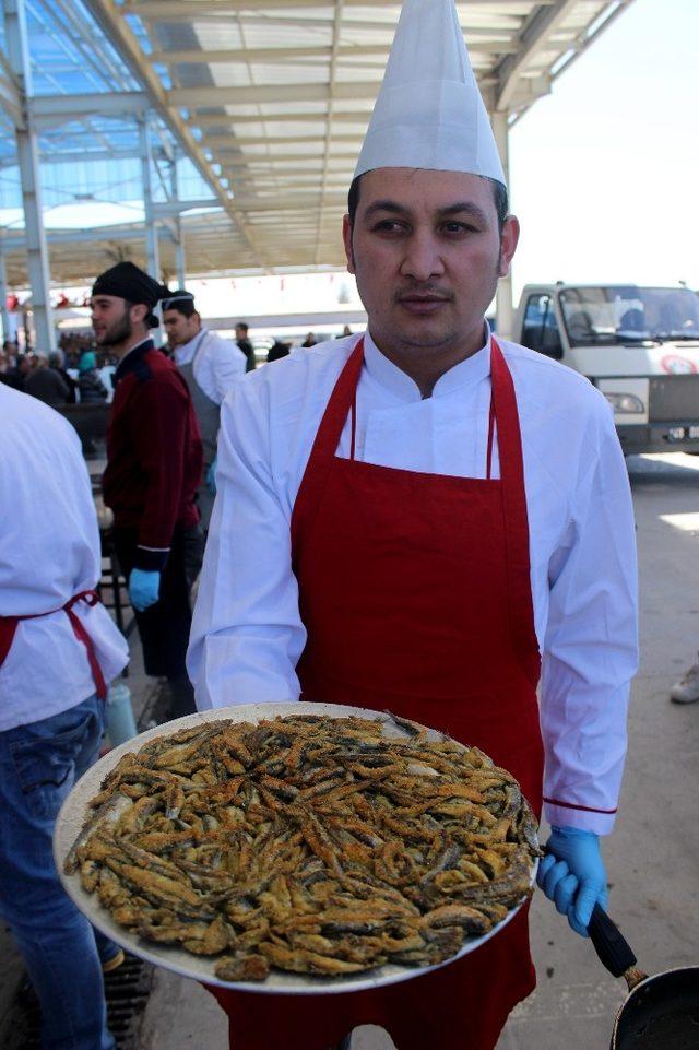 5 ton Hamsi dağıtıldı