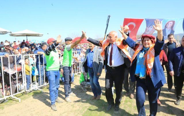 Bağarası deve güreşlerinde Özlem Çerçioğlu’na yoğun ilgi