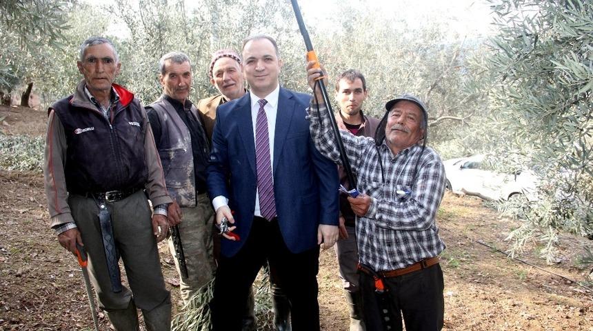 Bağımsız aday Gökçe’nin tarımsal projeleri ilgi görüyor