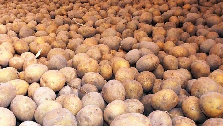 Patatesin fiyatı bir haftada ikiye katlandı! 'Fırsatçı' zammı