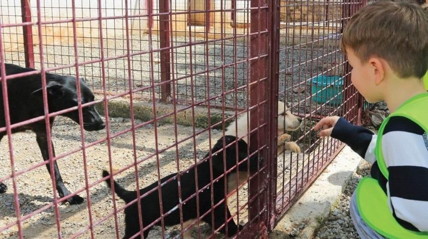 Seydişehir&rsquo;de sokak hayvanlarına modern barınak