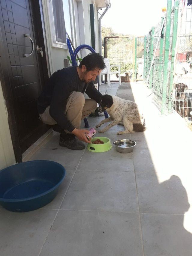 Dalyan Barınağı ekipleri kuyuya düşen köpeği kurtardı