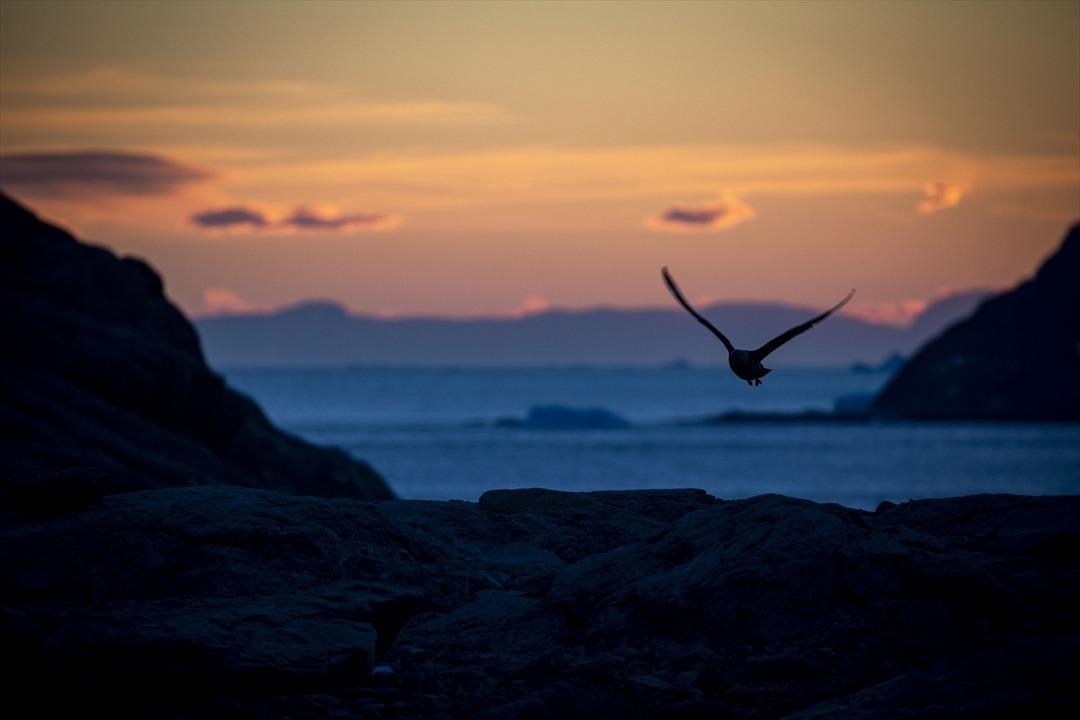 Beyaz kıtaya bir de b&ouml;yle bakın!