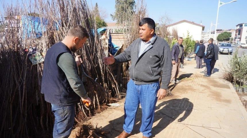 Sarıg&ouml;ll&uuml; &ccedil;ift&ccedil;ilerden fidan pazarına yoğun ilgi