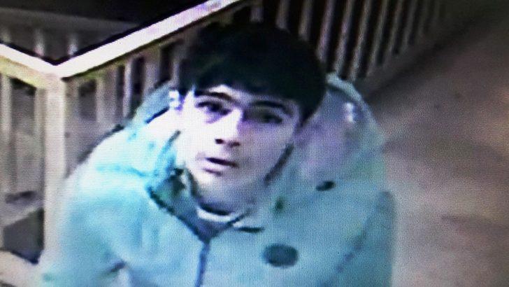 Rahatlığın bu kadarı! Ev sahipleri şaşkına döndü G3