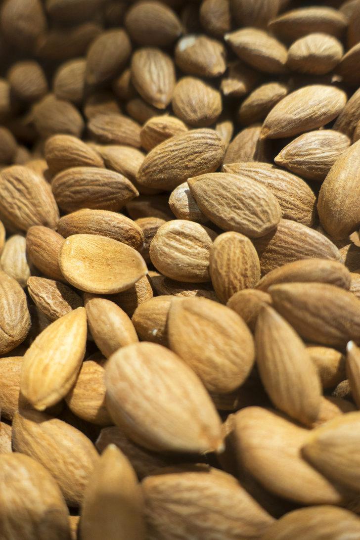 Kokusuyla baş döndüren aromasıyla yiyeceklere lezzet katan mucize: Mahlep G5