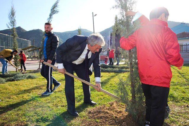 Sporculardan ağaç dikimine destek