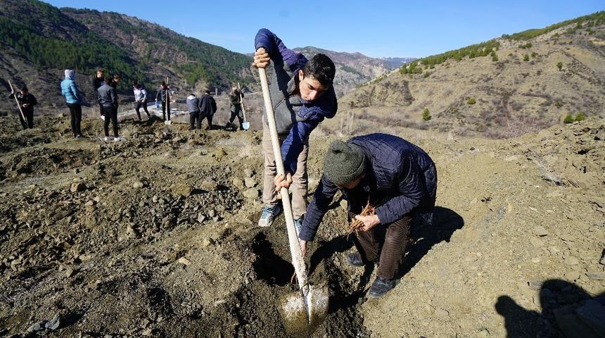 İskilip çilekten sonra kapari de örnek olacak