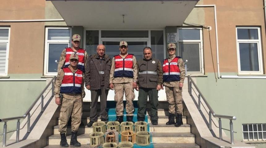 Elazığ&rsquo;da ka&ccedil;ak avlanan 10 keklik ele ge&ccedil;irildi