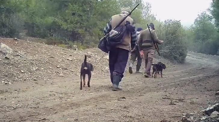 Burdur'da doğal hayat 'fotokapan'la görüntülendi G5