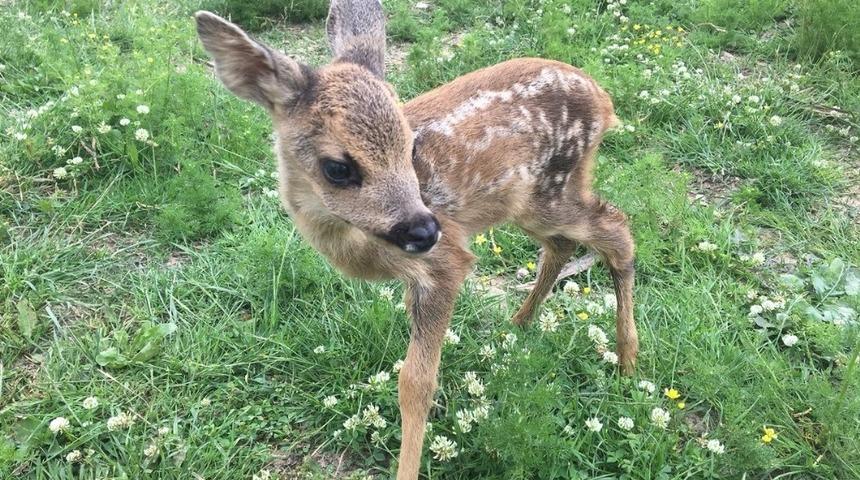 Avcılara sert uyarı