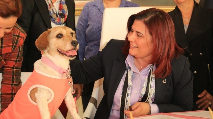 Başkan &Ccedil;er&ccedil;ioğlu&rsquo;ndan hayvan hakları i&ccedil;in dev adım
