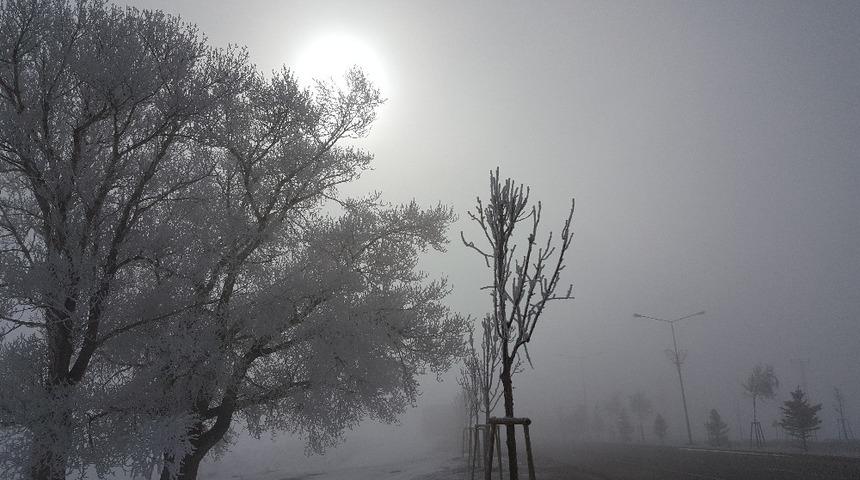 Doğu Anadolu&rsquo;da soğuk hava: Ağrı eksi 12