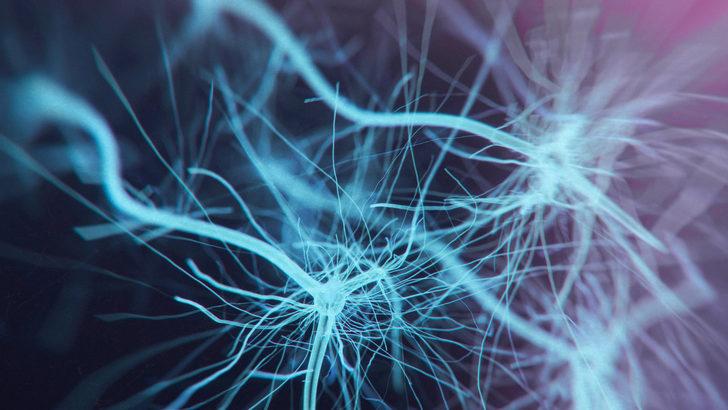 Beyin hakkında şaşırtan gerçekler! İşte beynin 9 gizemi... G5