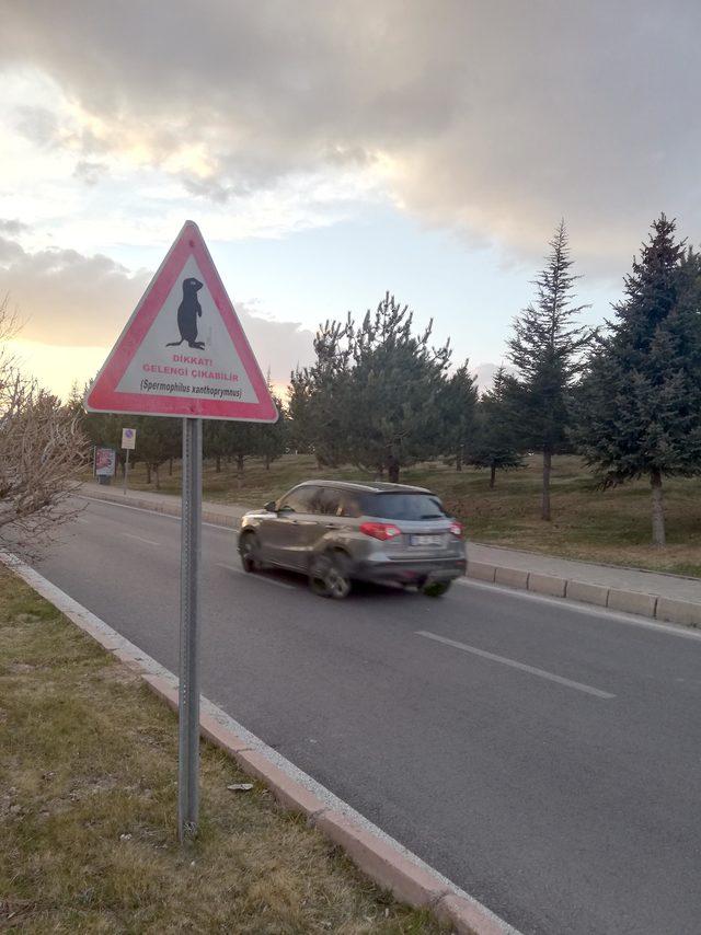 gelengiler-erciyes-universitesi-kampusunde-kendini-gosterdi_3934_dhaphoto1