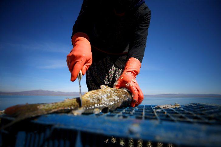 Göl sularının yükselmesi balıkçıların yüzünü güldürdü  G2