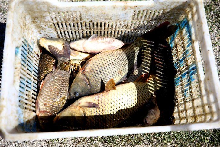 Göl sularının yükselmesi balıkçıların yüzünü güldürdü  G4