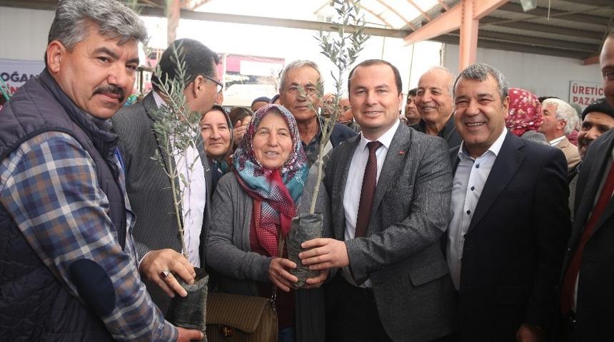 Mut’ta çiftçilere zeytin ve ceviz fidanı dağıtıldı