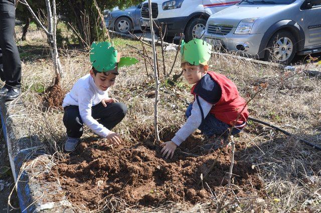 Siirt’te anaokulu öğrencileri Dicle Elektrik bahçesine fidan dikti