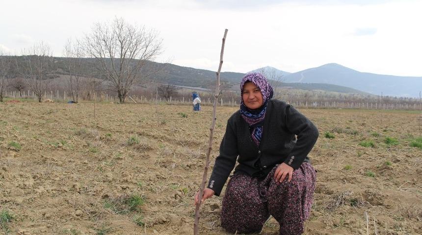 H&uuml;nnap yemeyi değil, h&uuml;nnap yetiştirmeyi &ouml;ğrettiler