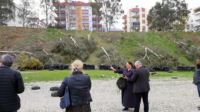 Otobüs garajı için okaliptüs ağaçlarının kesilmesine tepki