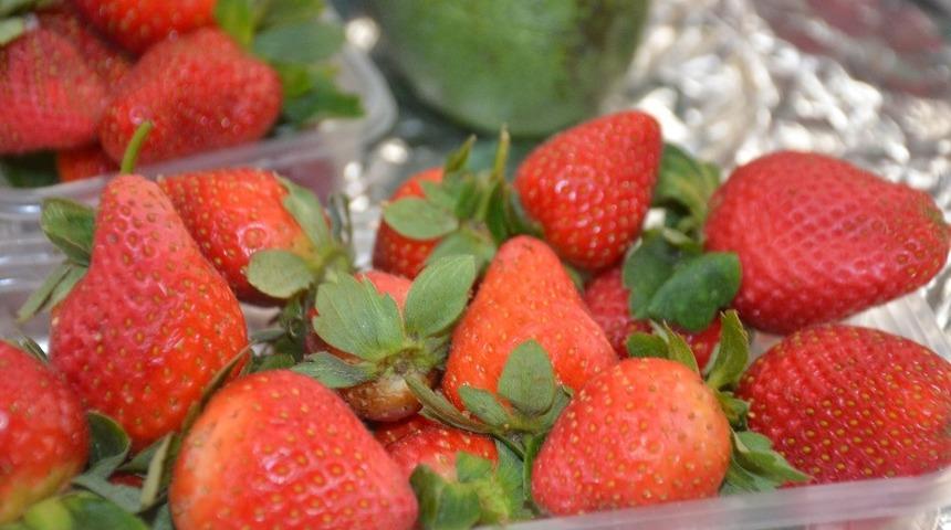 Kilosu 20 liraya alıcı bekliyor