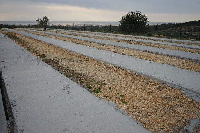 Mersin’de belediyeden hayvan mezarlığı