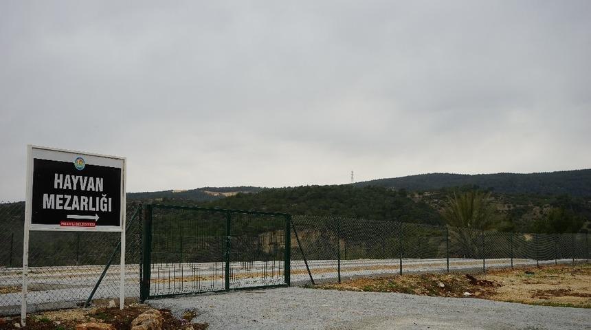 Mersin&rsquo;de belediyeden hayvan mezarlığı