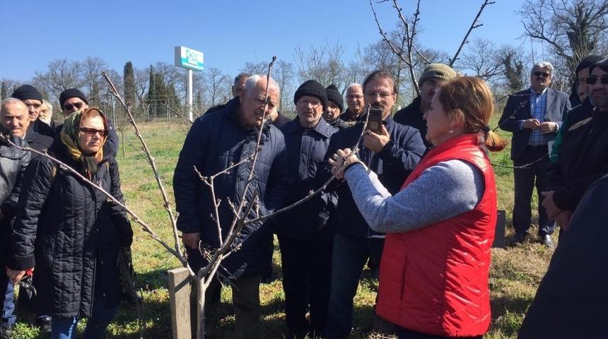 Budamanın tekniklerini &ouml;ğrendiler