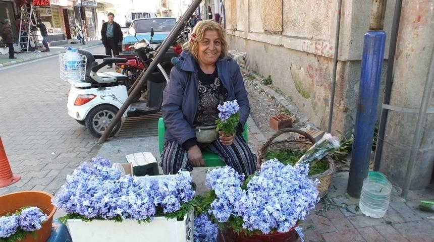 Burhaniye S&uuml;mb&uuml;l&uuml; piyasaya &ccedil;ıktı