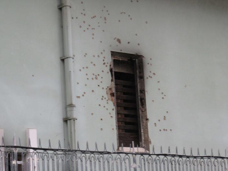 19 yıl önce Türkiye'nin konuştuğu villa satışa çıkarıldı! G3