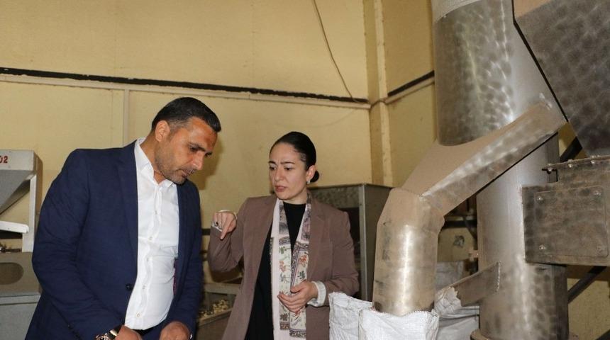 Saadet Adayı Aslan, istihdama katkı sağlayacağız