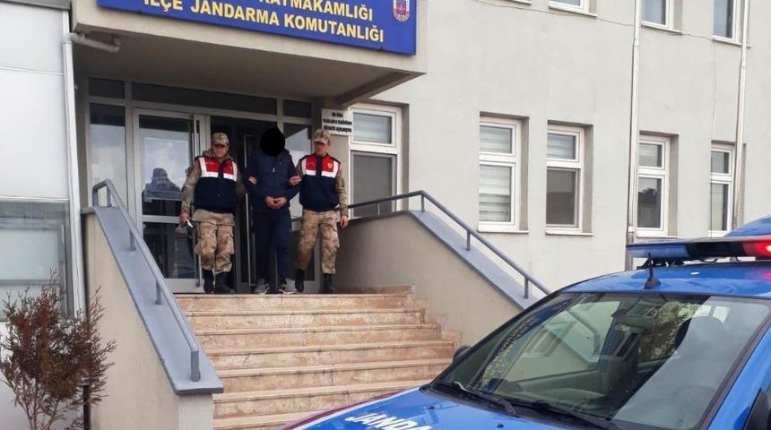 Kayısı hırsızı jandarma tarafından yakalandı