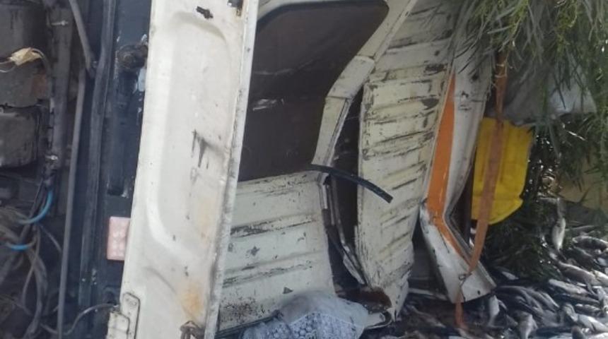 Didim’de balık kamyonu devrildi, binlerce balık caddeye saçıldı