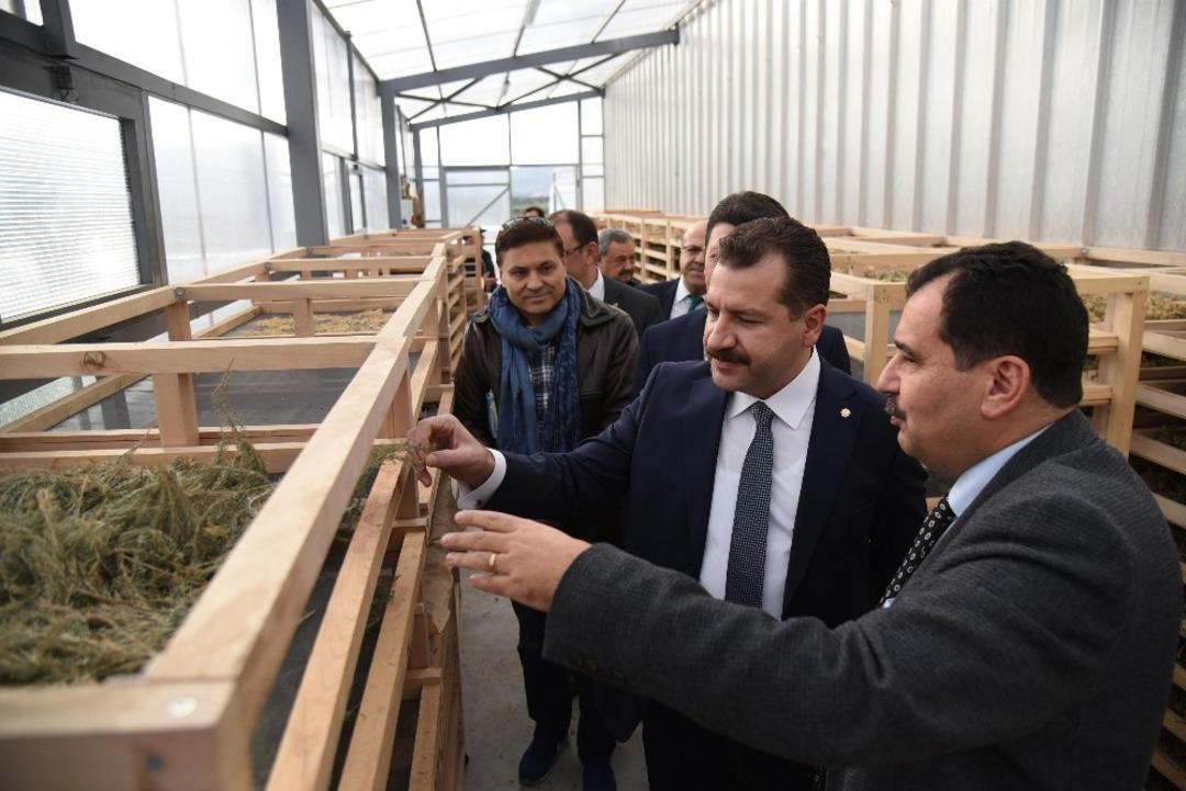 Yılmaz, "Tarım ve Hayvancılık Master planı Balıkesir&rsquo;e b&uuml;y&uuml;k kazan&ccedil;"