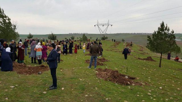 Nasıranlı, vatandaşlarla birlikte fidan dikti