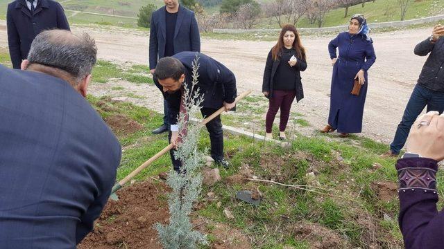 Nasıranlı, vatandaşlarla birlikte fidan dikti