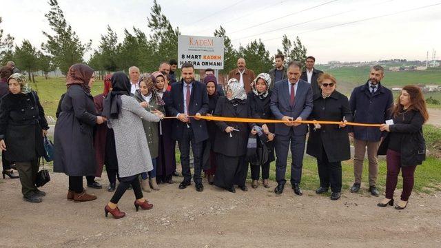 Nasıranlı, vatandaşlarla birlikte fidan dikti