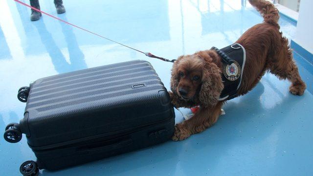 Business Class yolcularına Coco şoku