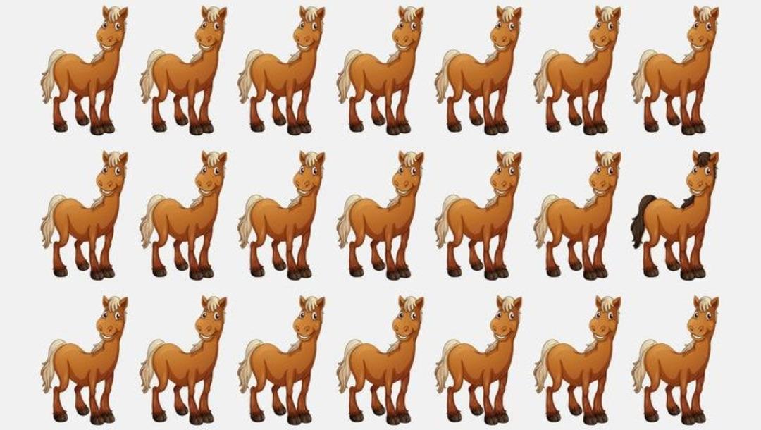 Dikkat testiyle kendinizi sınayın! Farklı olanı bulabildiniz? 