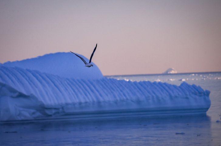 Beyaz kıtanın benzersiz dünyası G2