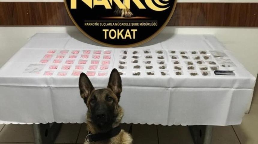 Tokat&rsquo;ta &ldquo;torbacı&rdquo; operasyonu: 5 tutuklama