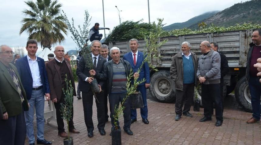 Bayırk&ouml;y&rsquo;de &uuml;cretsiz zeytin ve hurma fidanı dağıtıldı