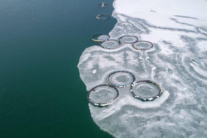 Buzlar çözülünce oraya koştular G4