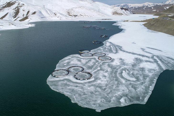 Buzlar çözülünce oraya koştular G5