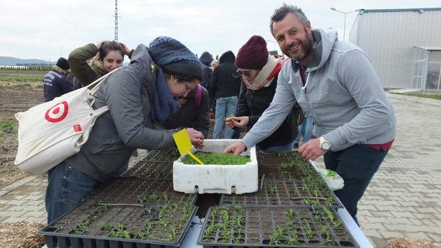 Tıbbi ve aromatik bitki yetiştiriciliği ilgi görüyor