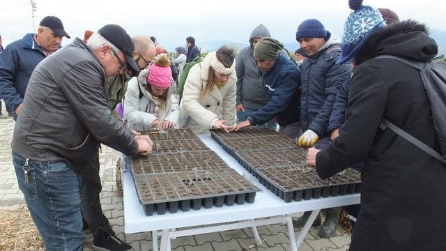 Tıbbi ve aromatik bitki yetiştiriciliği ilgi görüyor