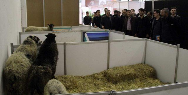 GAÜN öğrencilerinden tarım ve hayvancılık fuarına teknik gezi