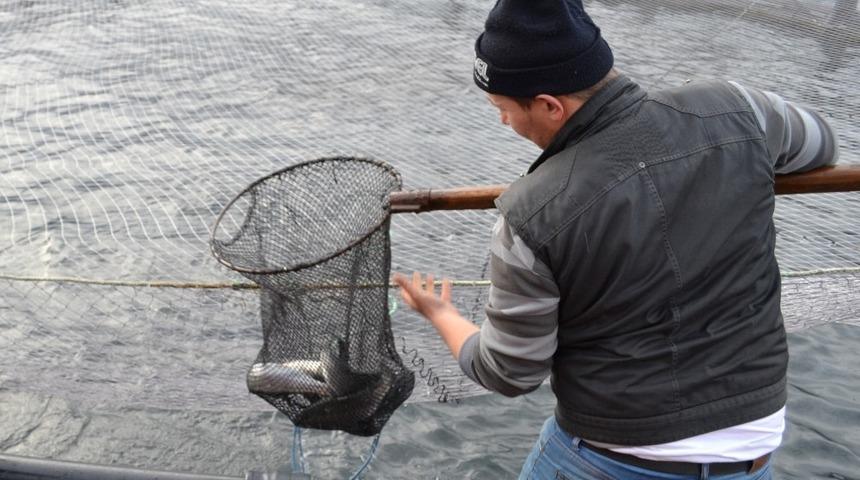 Ordu&rsquo;da 10 alabalık &uuml;reticisine destek