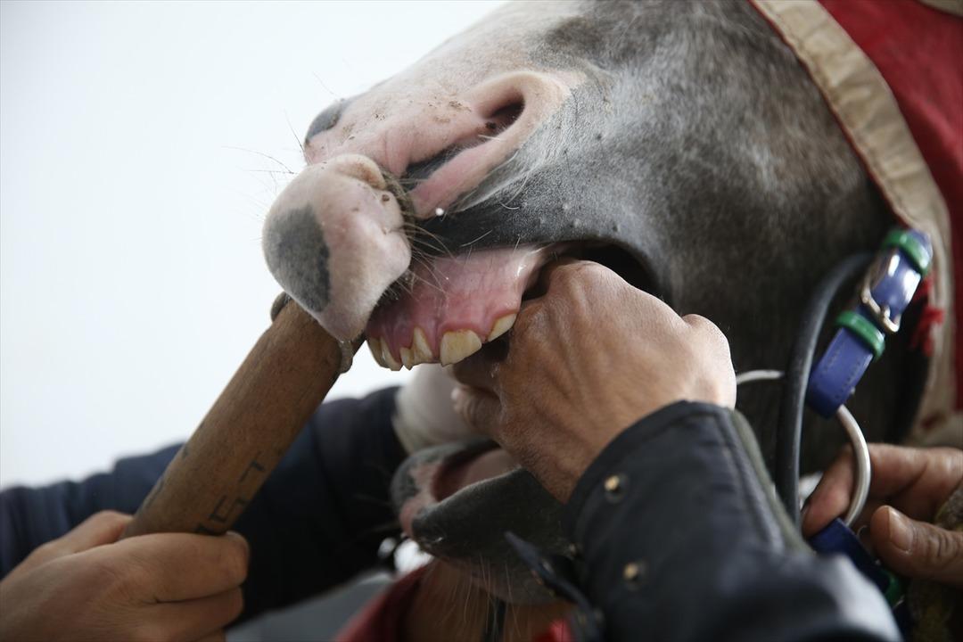 Osmanlı'dan kalan gelenek hala devam ediyor!  'Daha &ouml;nce hi&ccedil; g&ouml;rmemiş olan var'